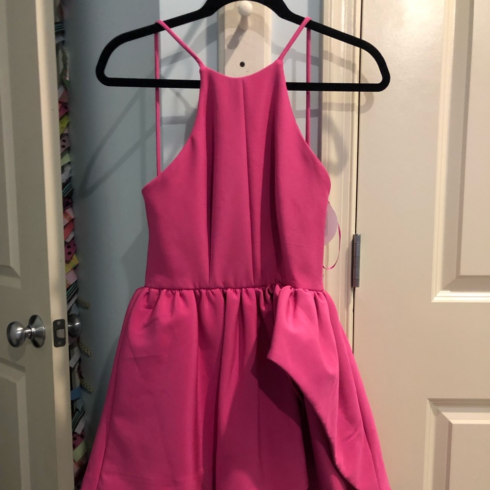 Cameo Winter Wind Dress Raspberry